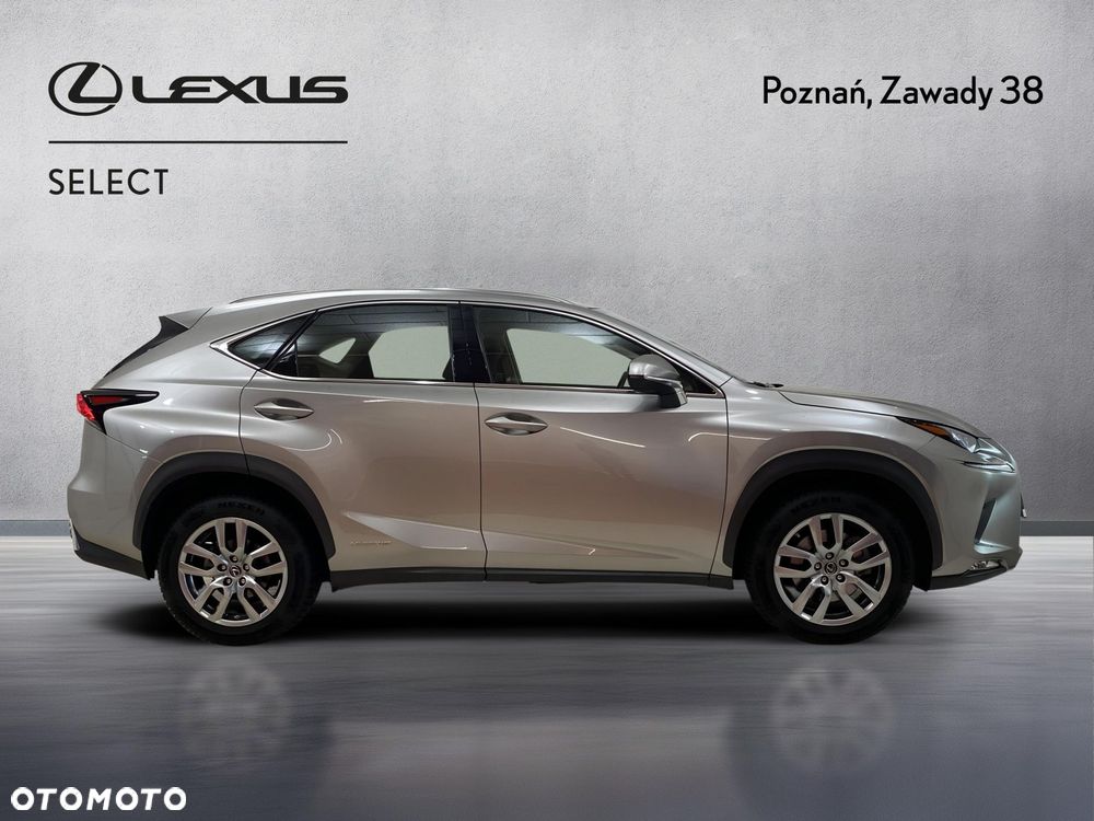 Lexus NX 300h Business Edition AWD - 4