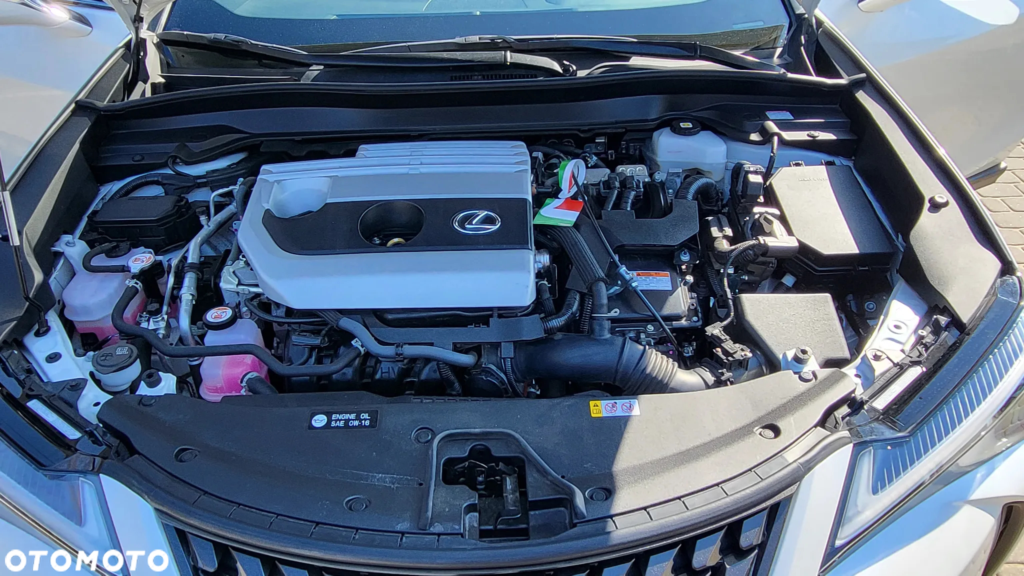 Lexus UX 250h GPF Business AWD - 17