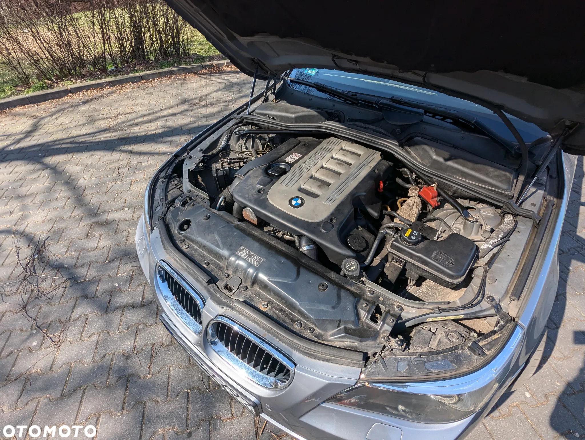 BMW Seria 5 525d - 19