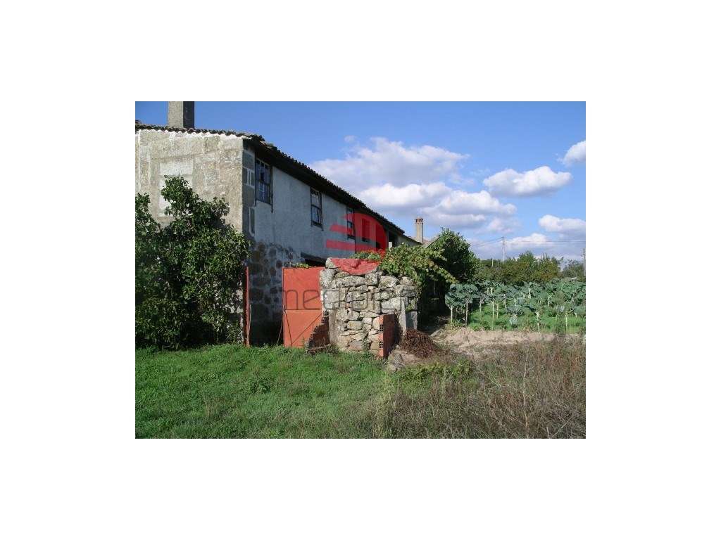 Casa Antiga T2 Venda Moimenta da Beira - Grande imagem: 3/5