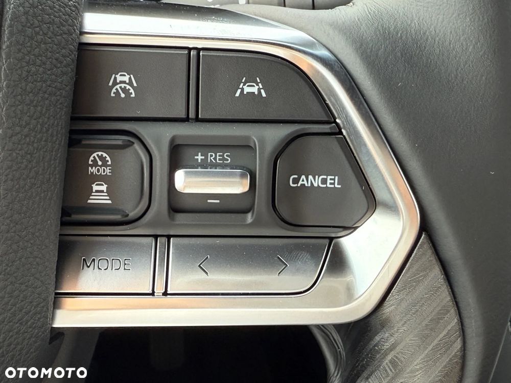 Toyota Land Cruiser - 19