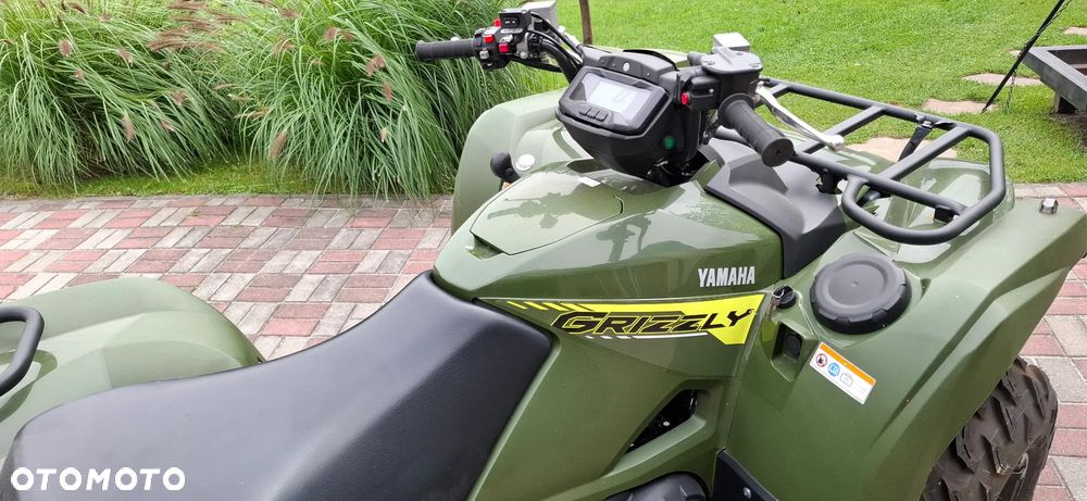 Yamaha Grizzly - 6
