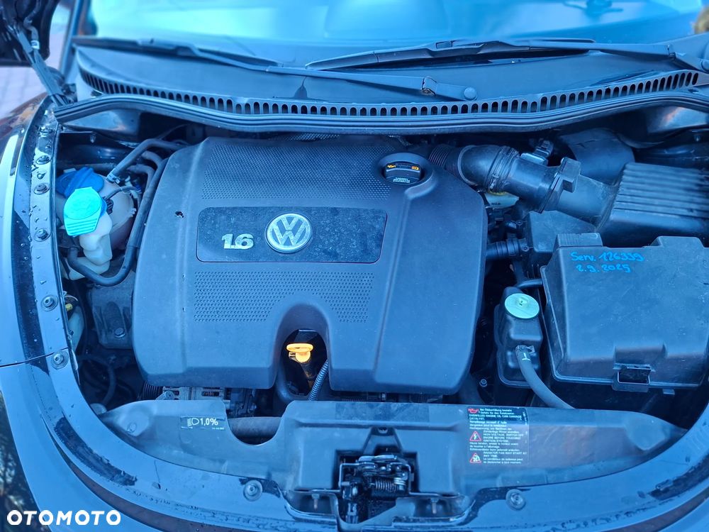 Volkswagen New Beetle - 16