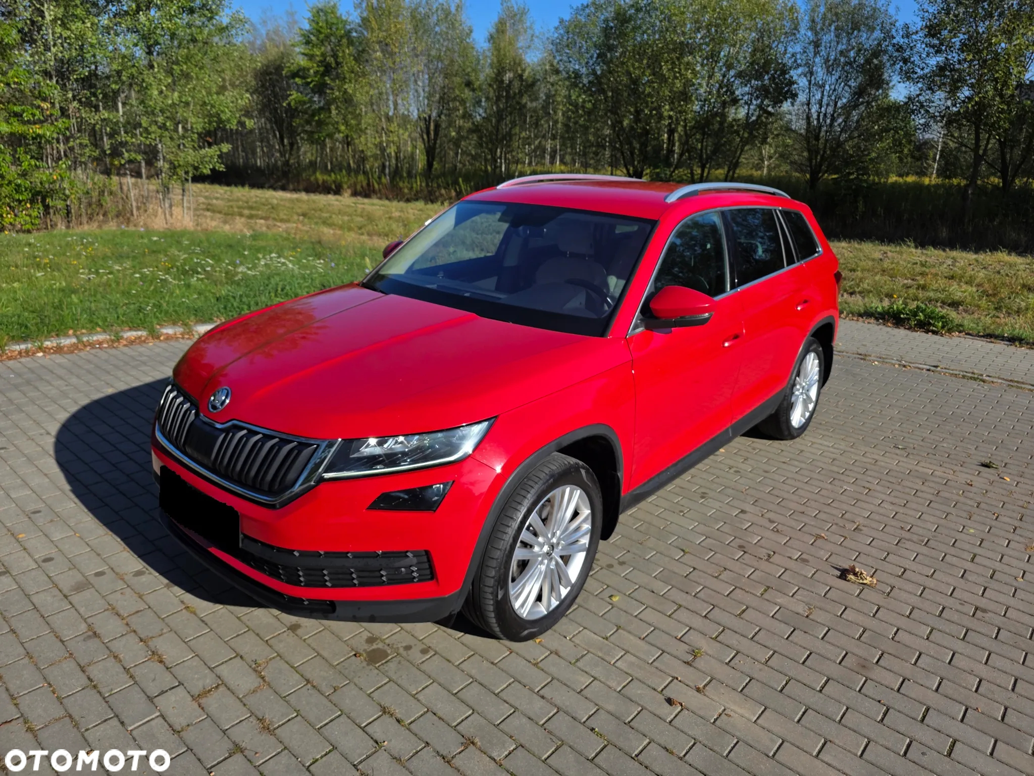 Skoda Kodiaq 2.0 TSI 4x4 Style DSG - 8