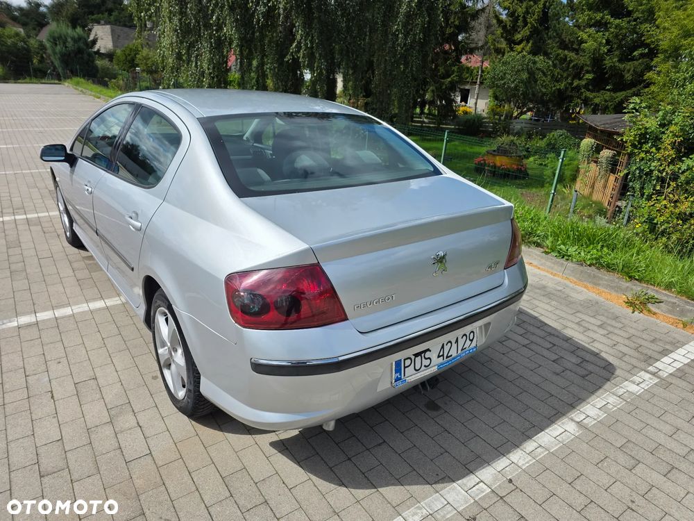 Peugeot 407 - 23