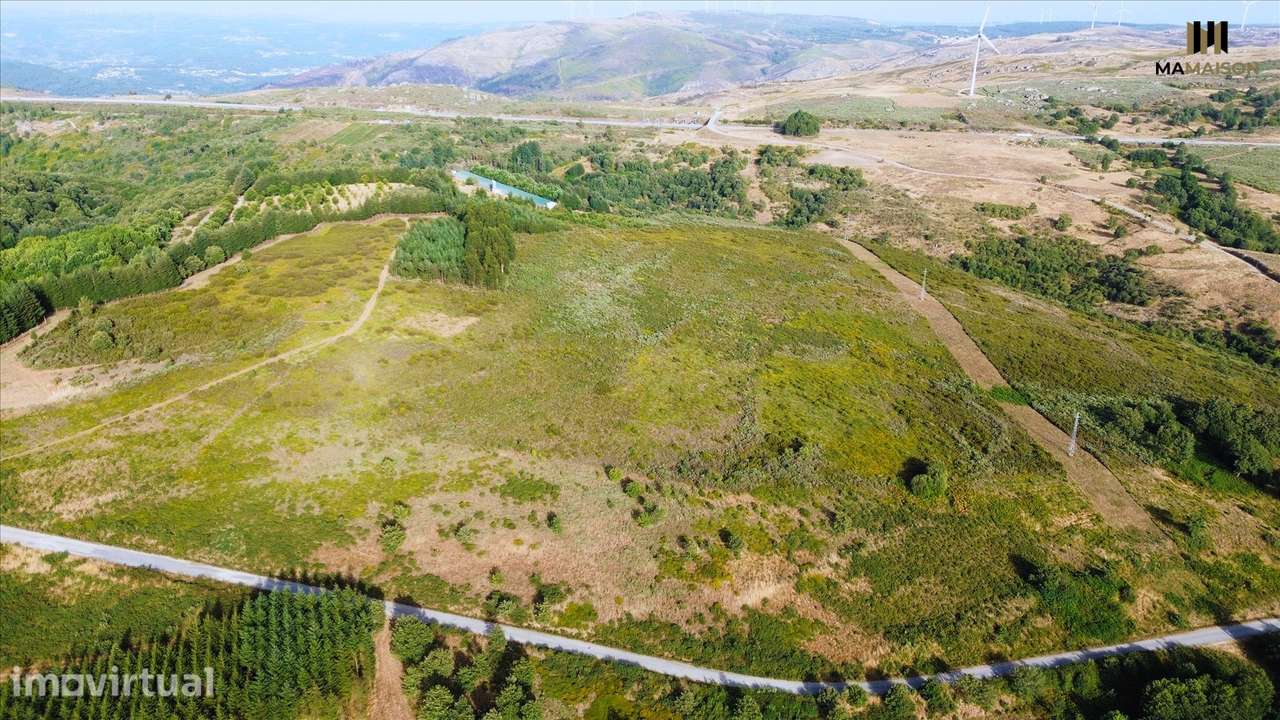 TERRENO COM + de 6 HECTARES | 63.000m2 - Grande imagem: 3/9