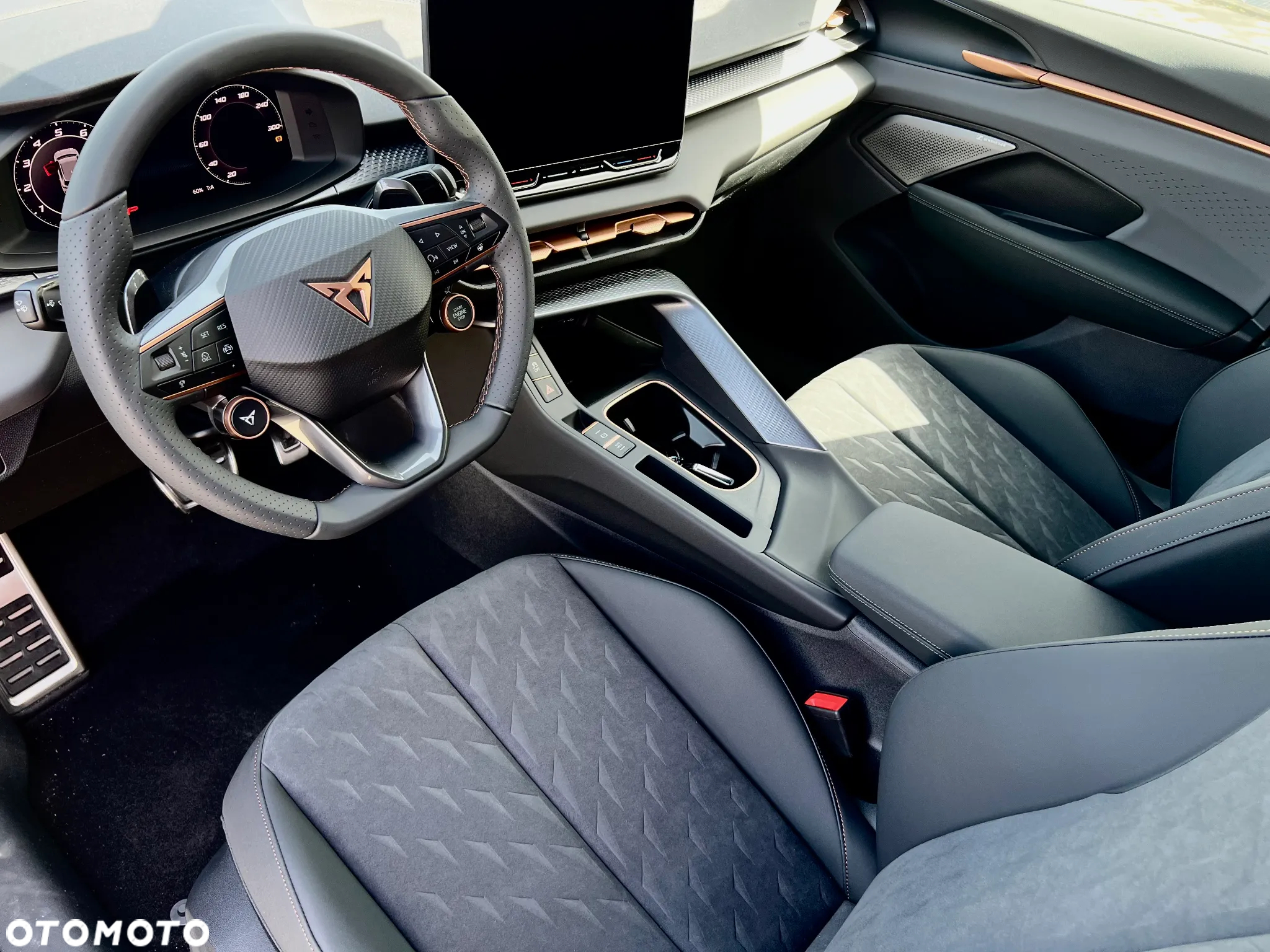 Cupra Terramar 2.0 TSI 4Drive DSG - 18