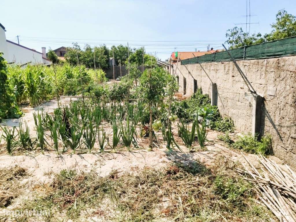 Terreno para construção - Gafanha do Carmo - Grande imagem: 2/12