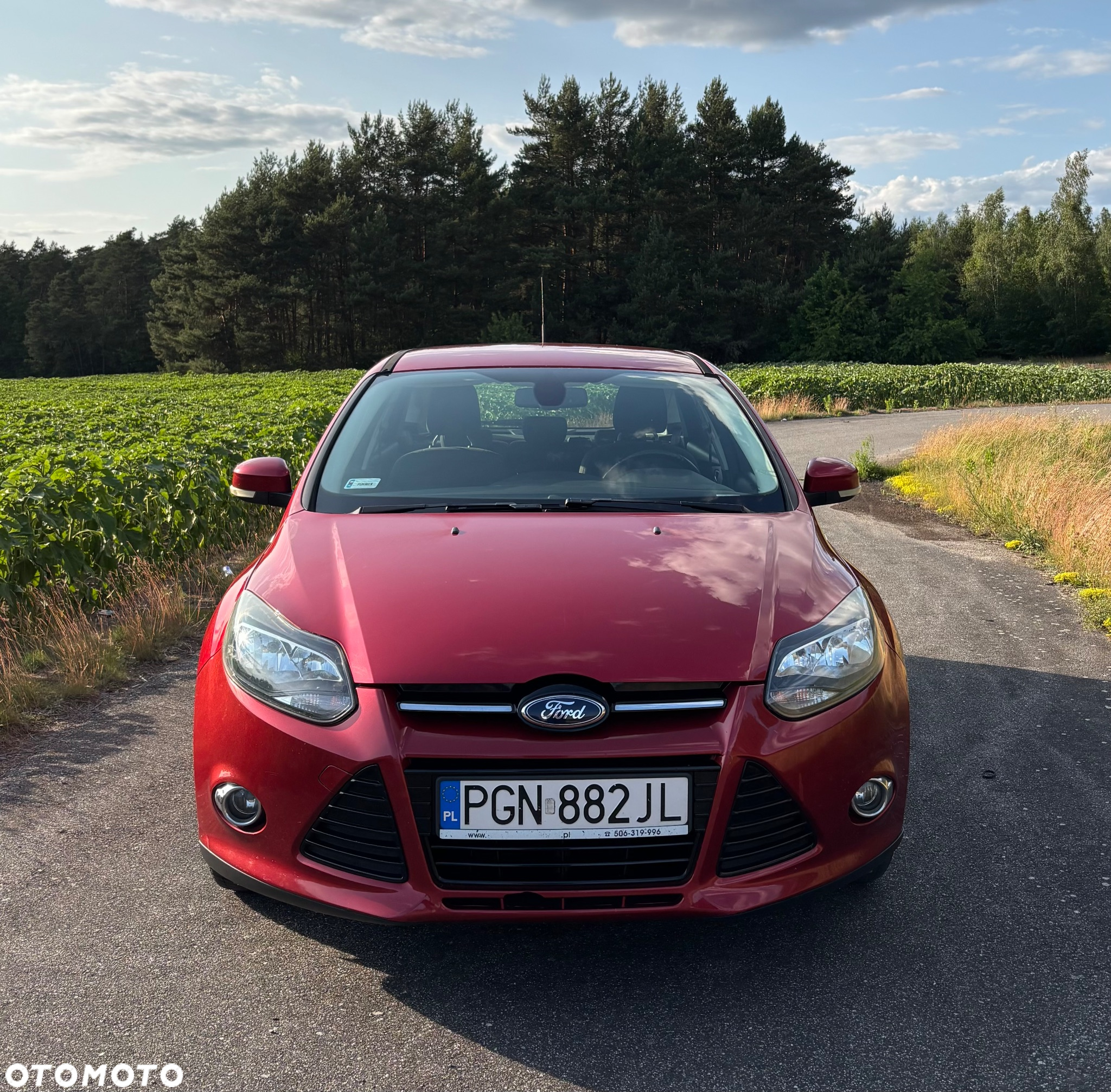 Ford Focus - 3
