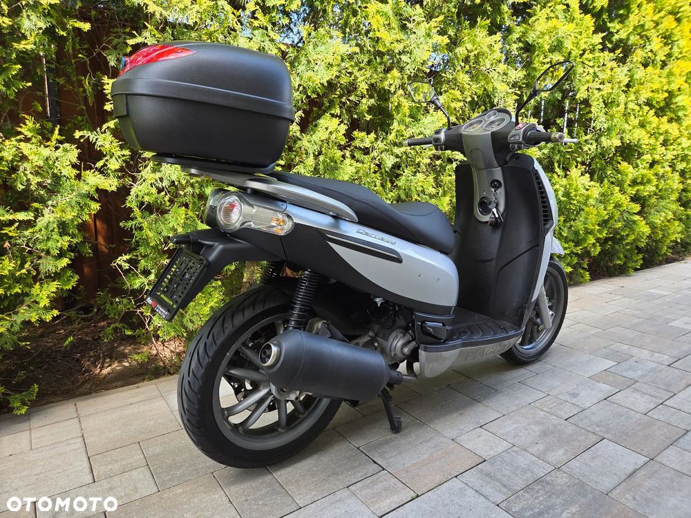 Piaggio Carnaby - 3