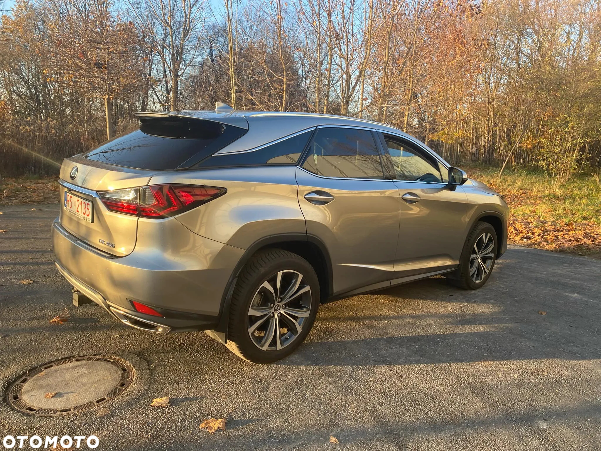 Lexus RX - 8