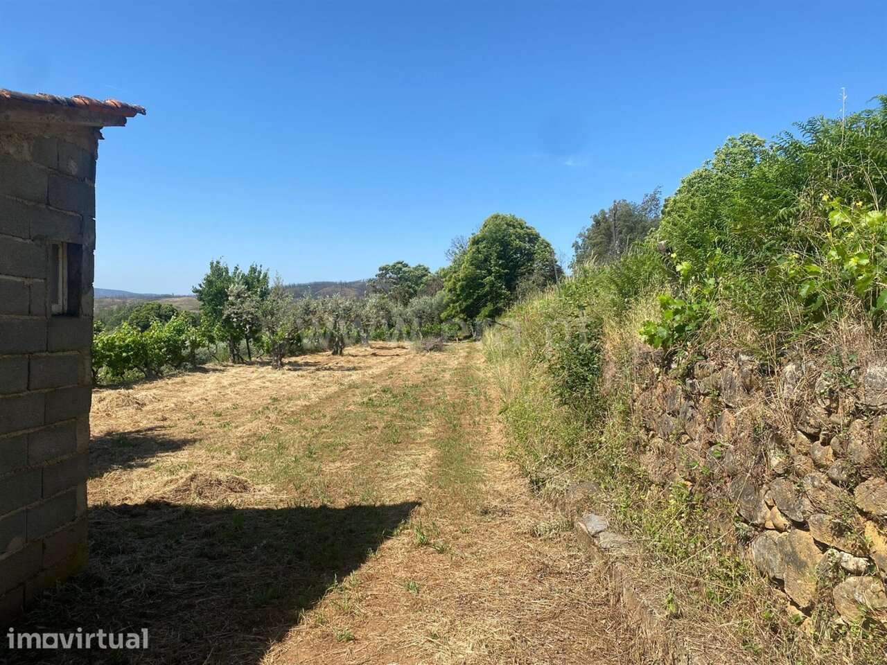 Terreno / Covilhã, Paul - Grande imagem: 5/5