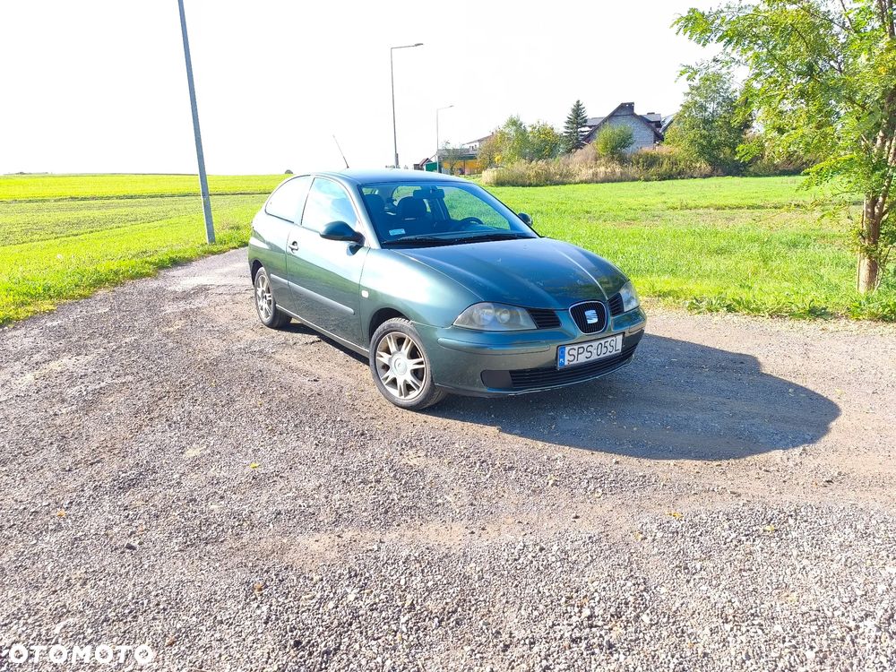 Seat Ibiza - 1