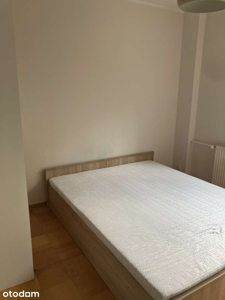 Wynajmę od zaraz mieszkanie Katowice os Paderewskiego