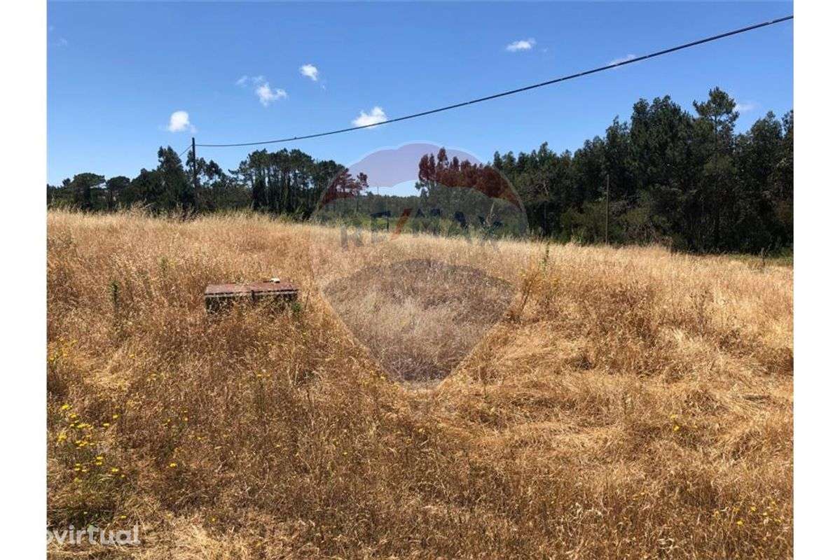 Terreno com 6,317 m2 - Grande imagem: 2/8