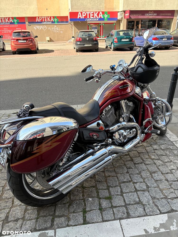 Harley-Davidson Softail V-Rod - 1