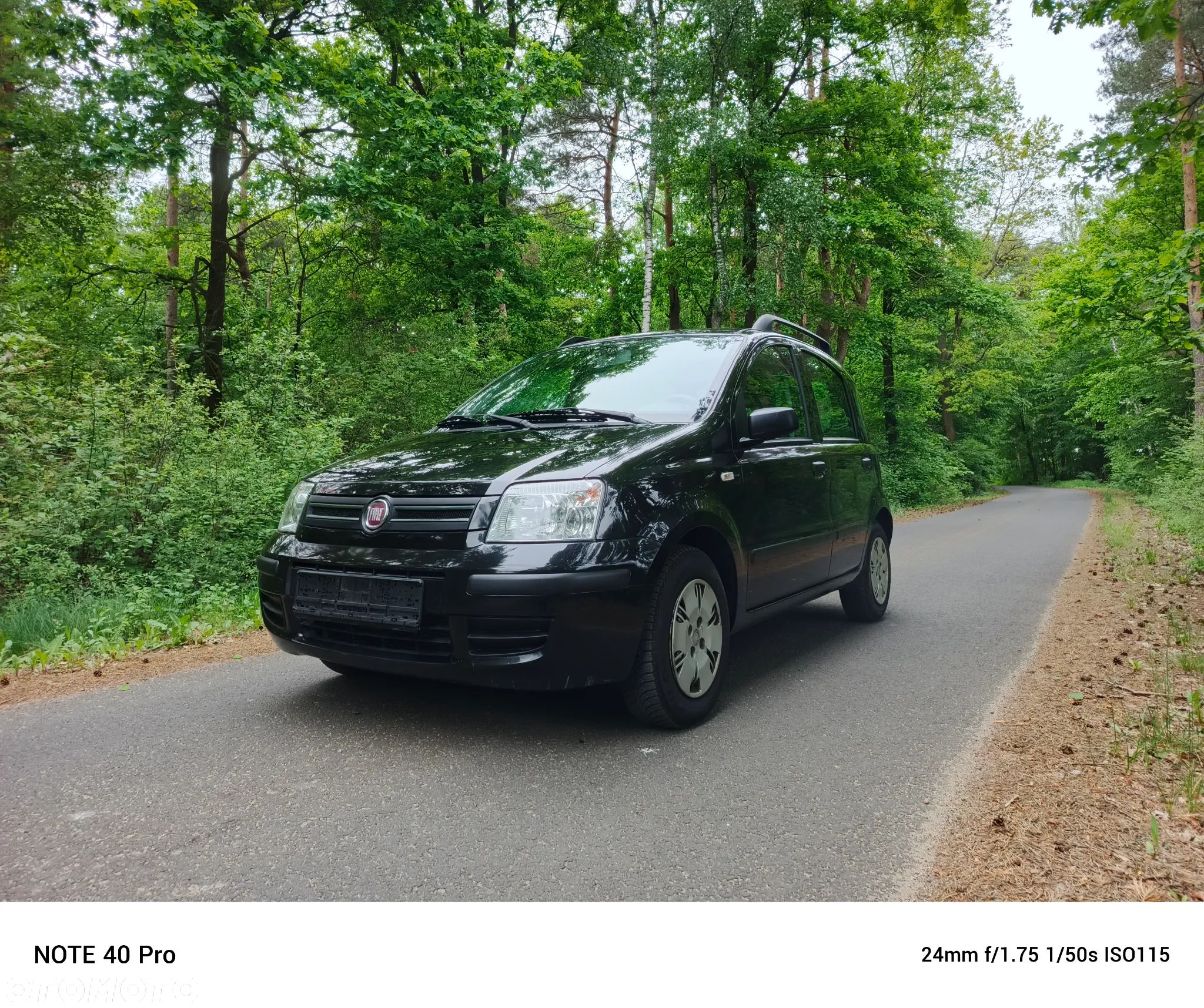 Fiat Panda 1.2 Dynamic Plus - 1
