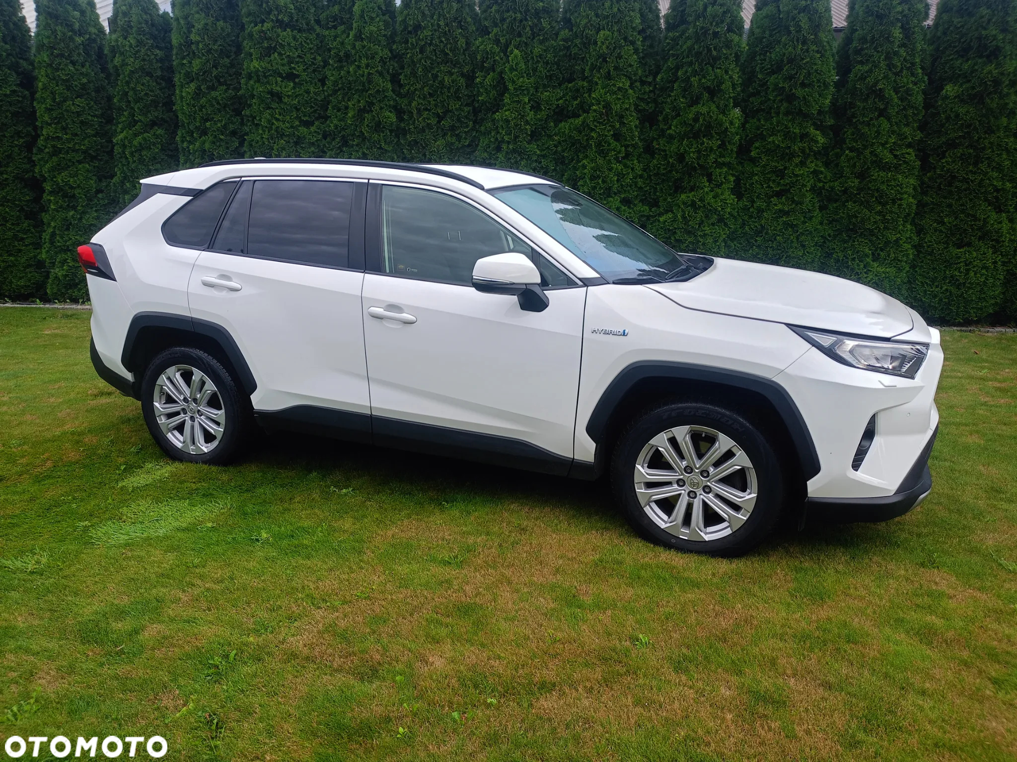 Toyota RAV4 2.5 4x2 Hybrid Business Edition - 3