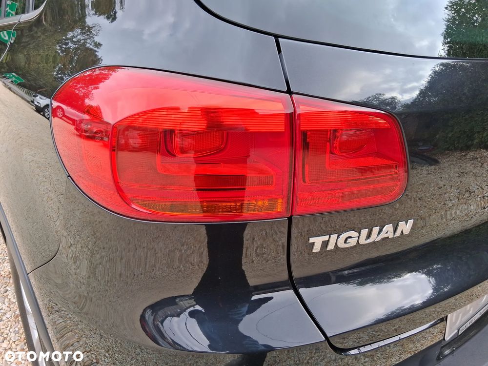 Volkswagen Tiguan - 16