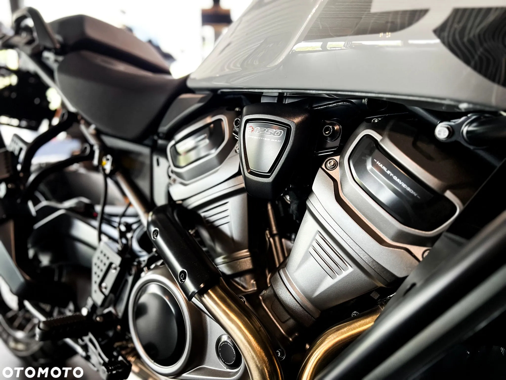 Harley-Davidson Pan America - 2