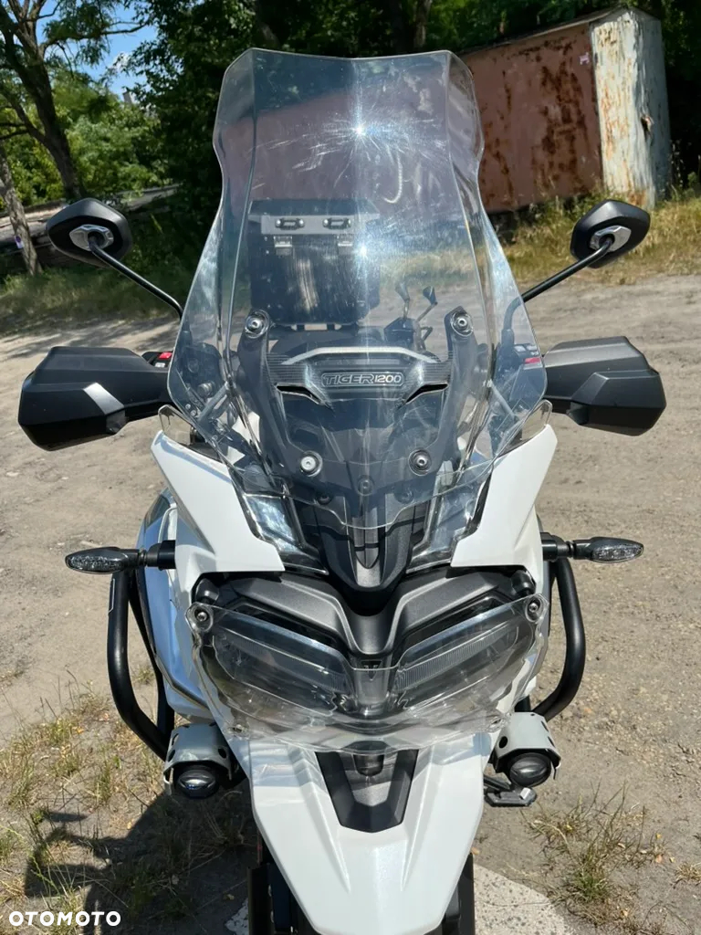 Triumph Tiger - 16