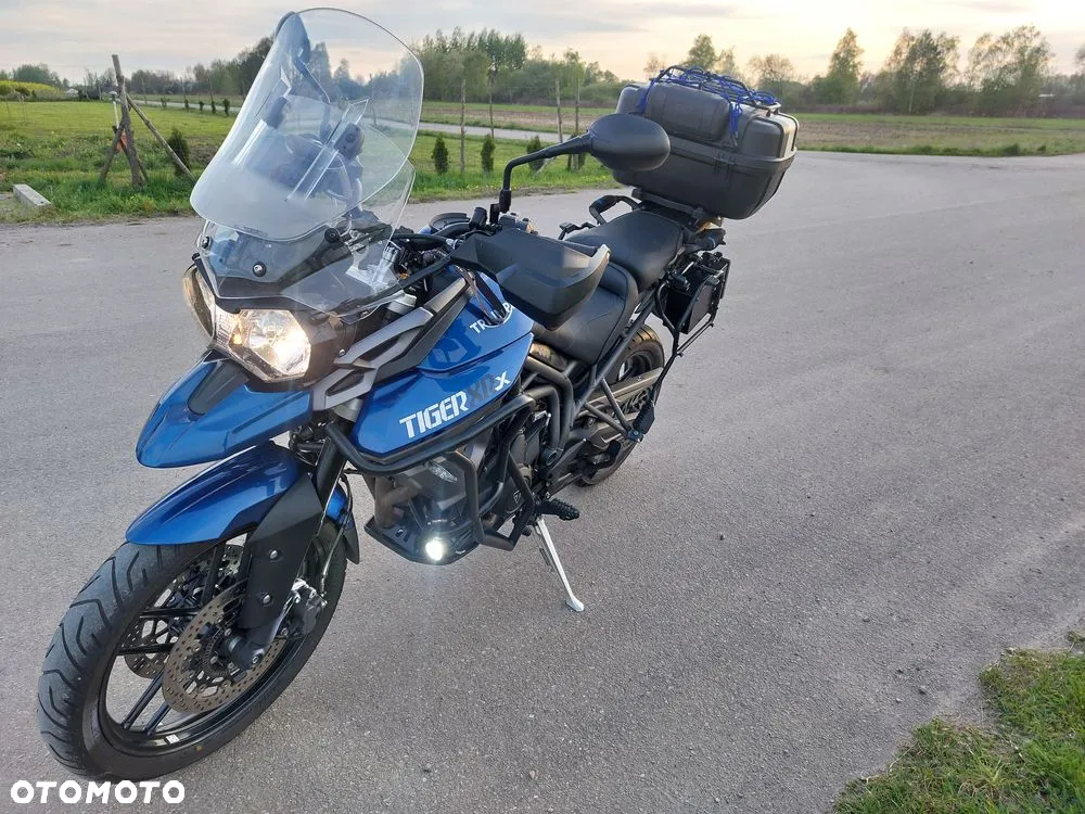 Triumph Tiger - 3
