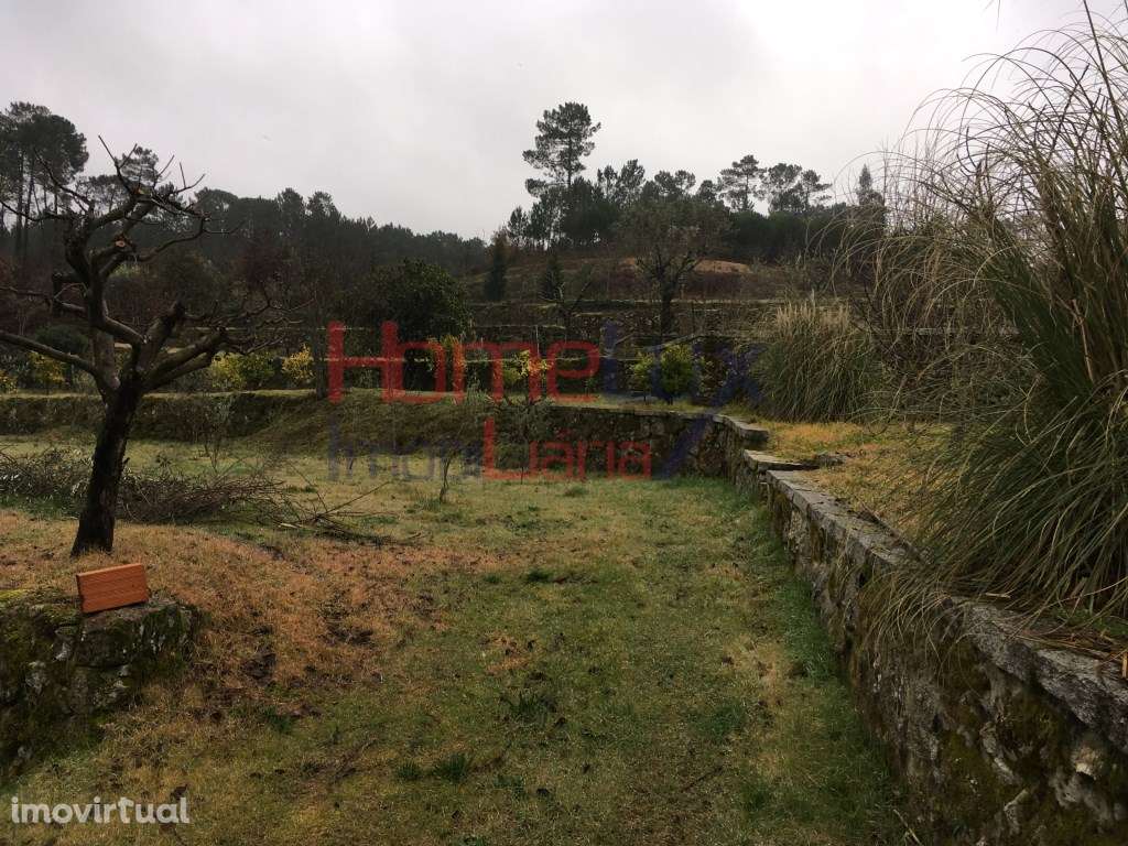 Quinta para venda em Mangualde - Grande imagem: 5/25