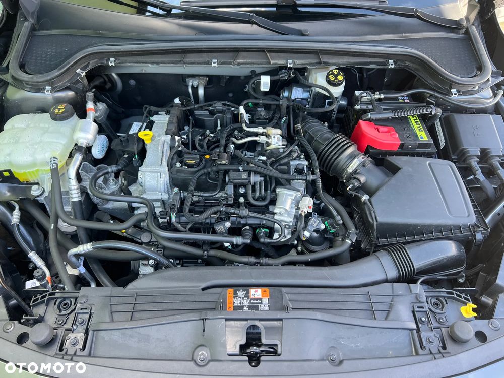Ford Focus - 18