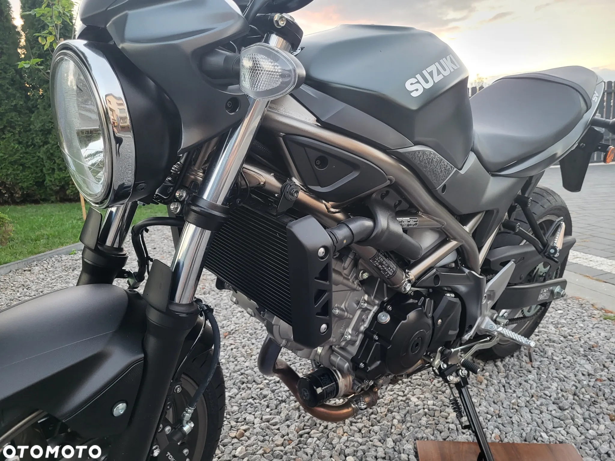Suzuki SV - 12