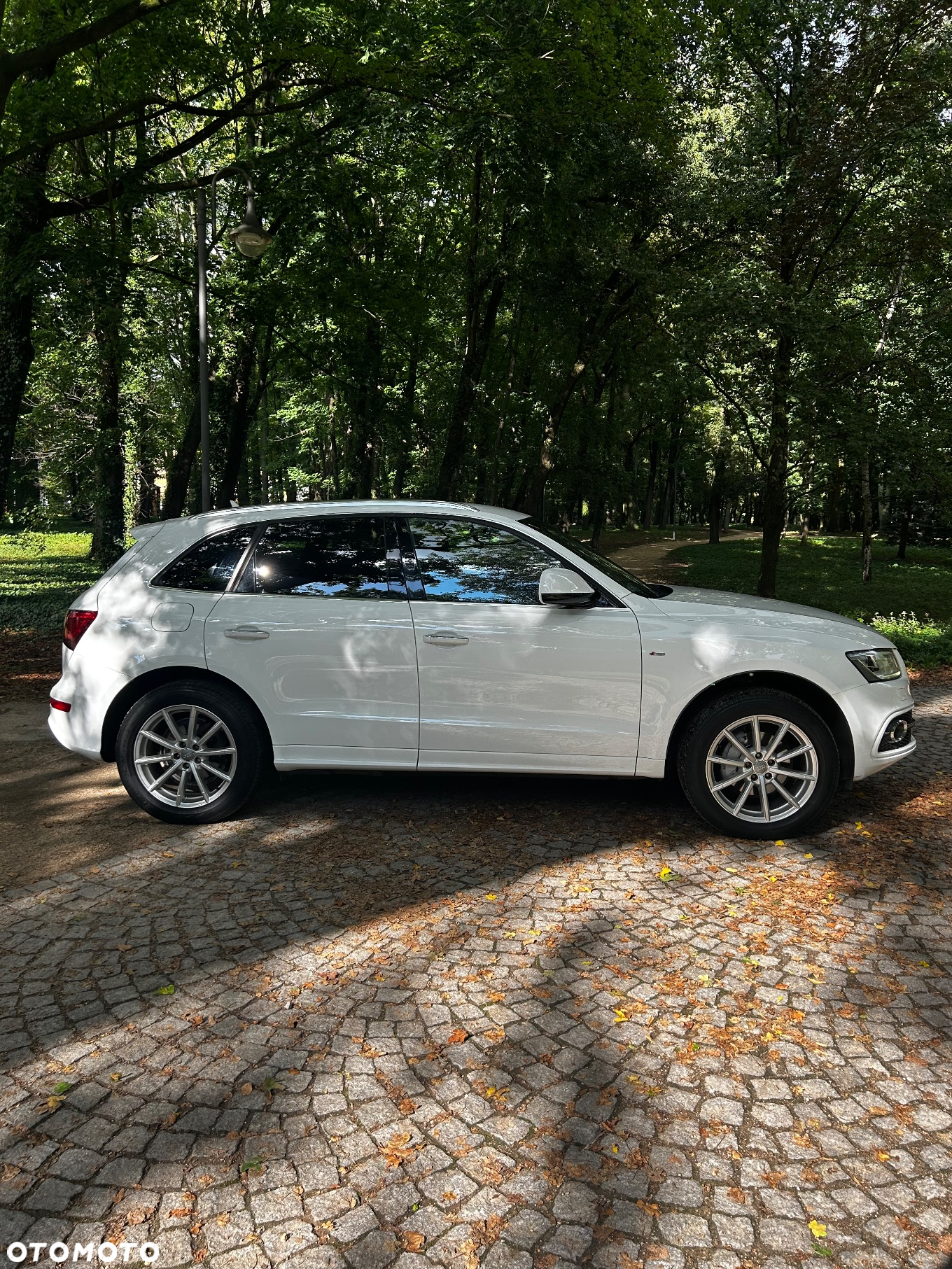 Audi Q5 - 2