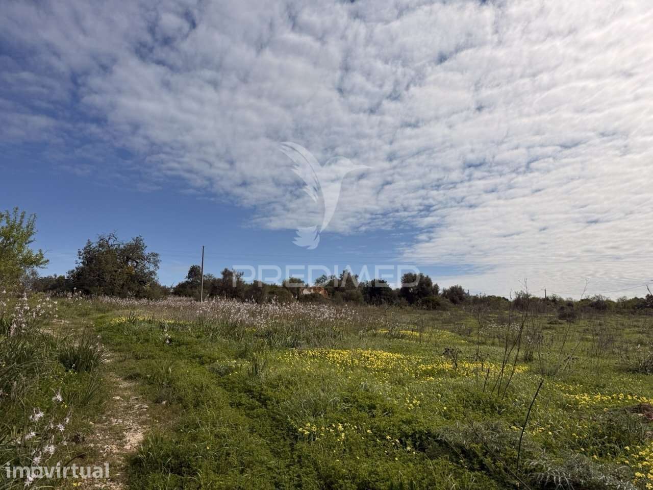 Terreno com Ruína e Potencial de Construção – Conceição de Faro | P... - Grande imagem: 2/20