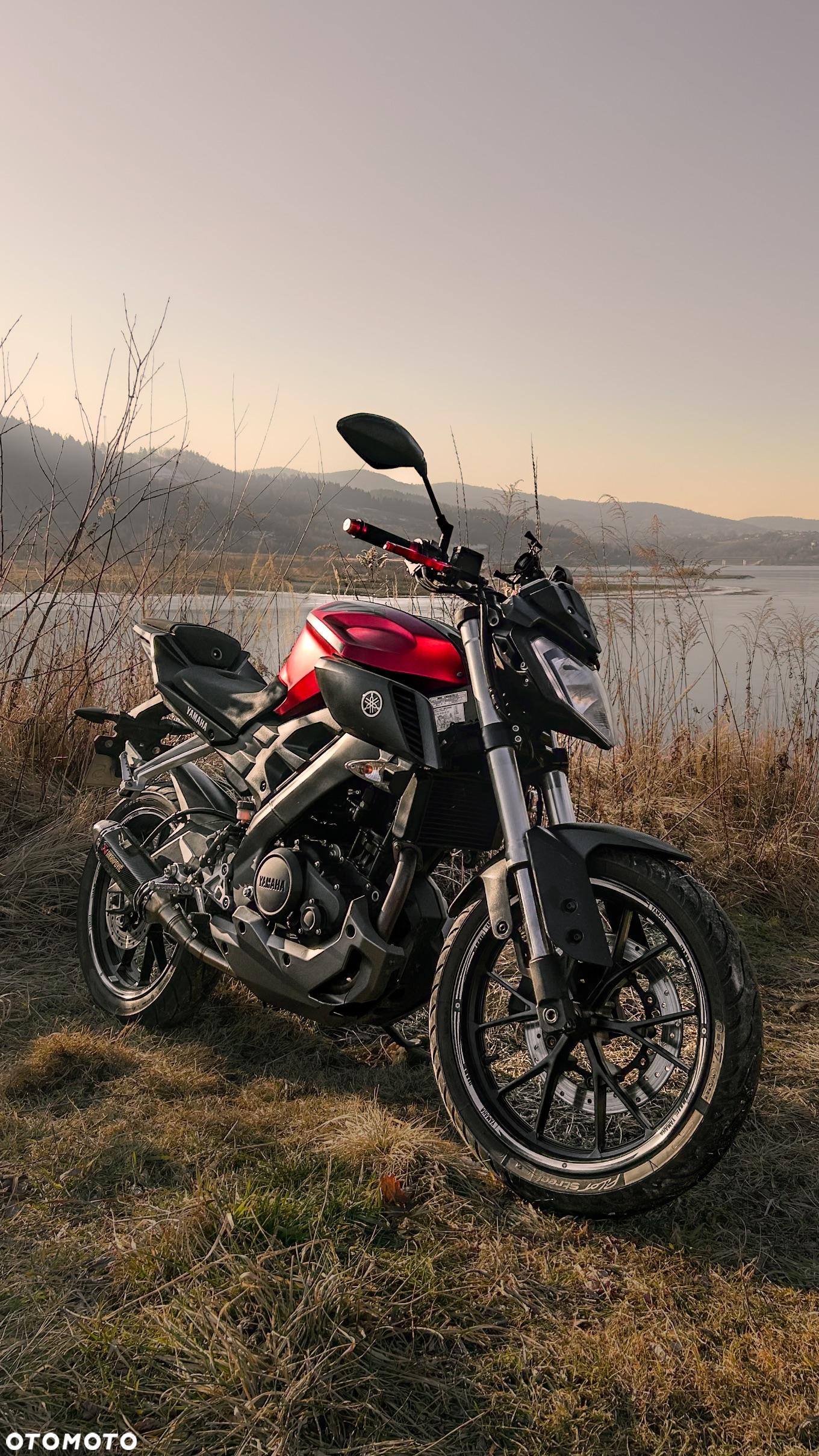 Yamaha MT - 3