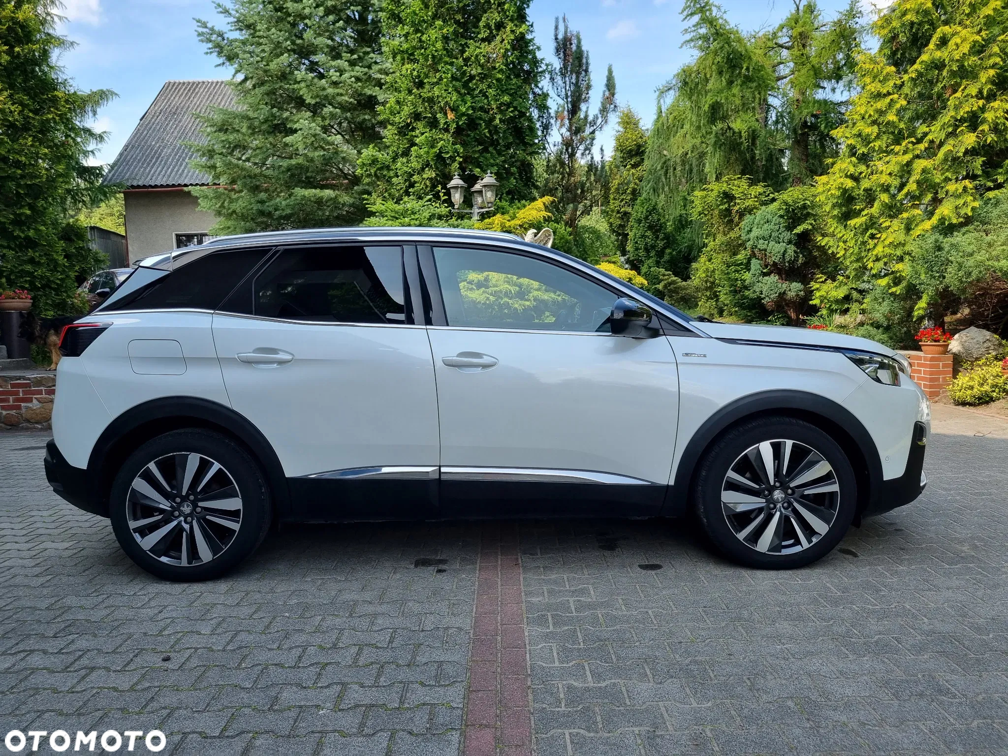 Peugeot 3008 - 13