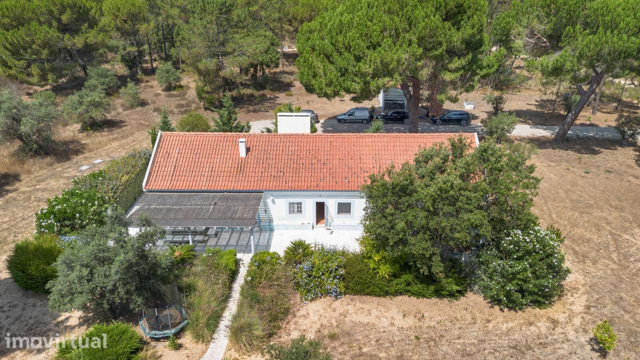 Quinta 4.6 ha, Melides, Grandola - Grande imagem: 5/41