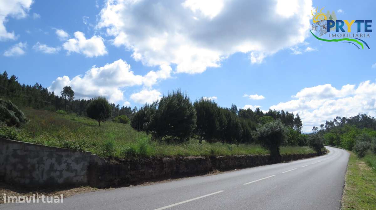 Quinta com 3,6 hectares na Sertã - Pinhal, Oliveiras e Bons Acessos. - Grande imagem: 4/25