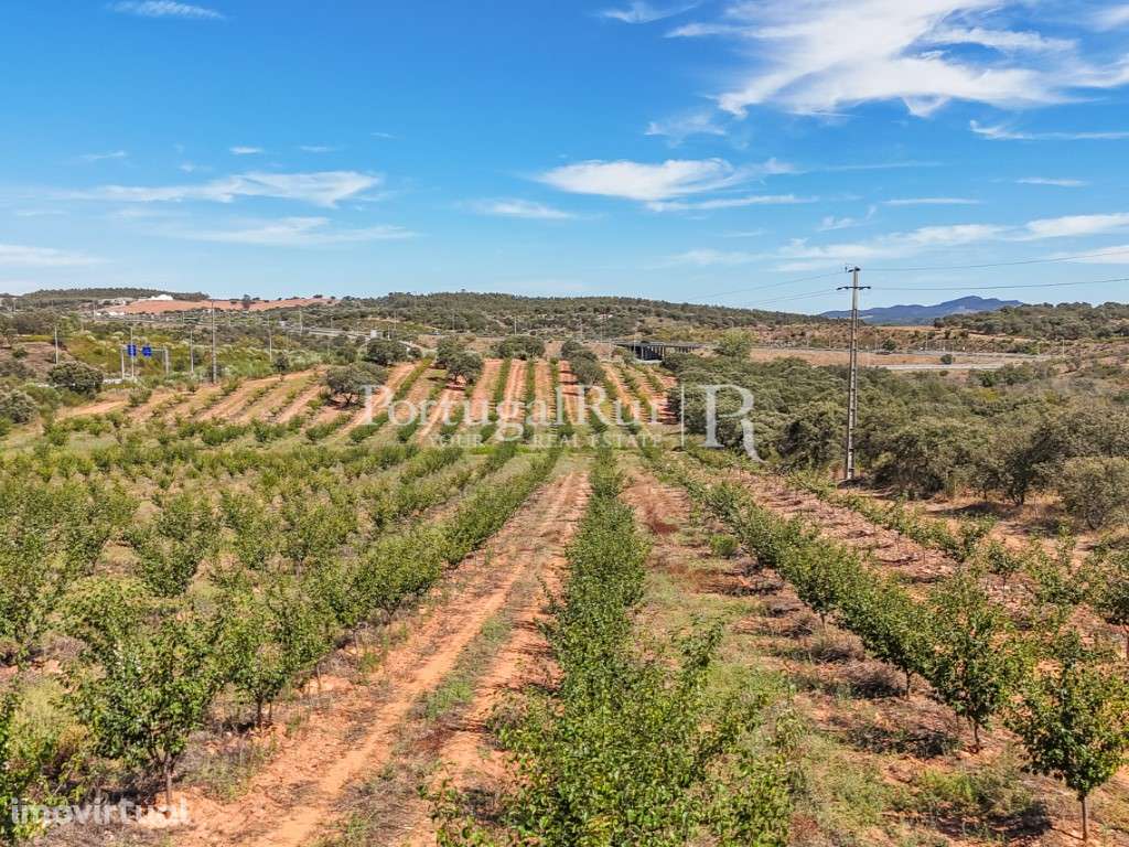 Terreno com 4ha com aptidão para construção de unidade de turismo - Grande imagem: 2/16