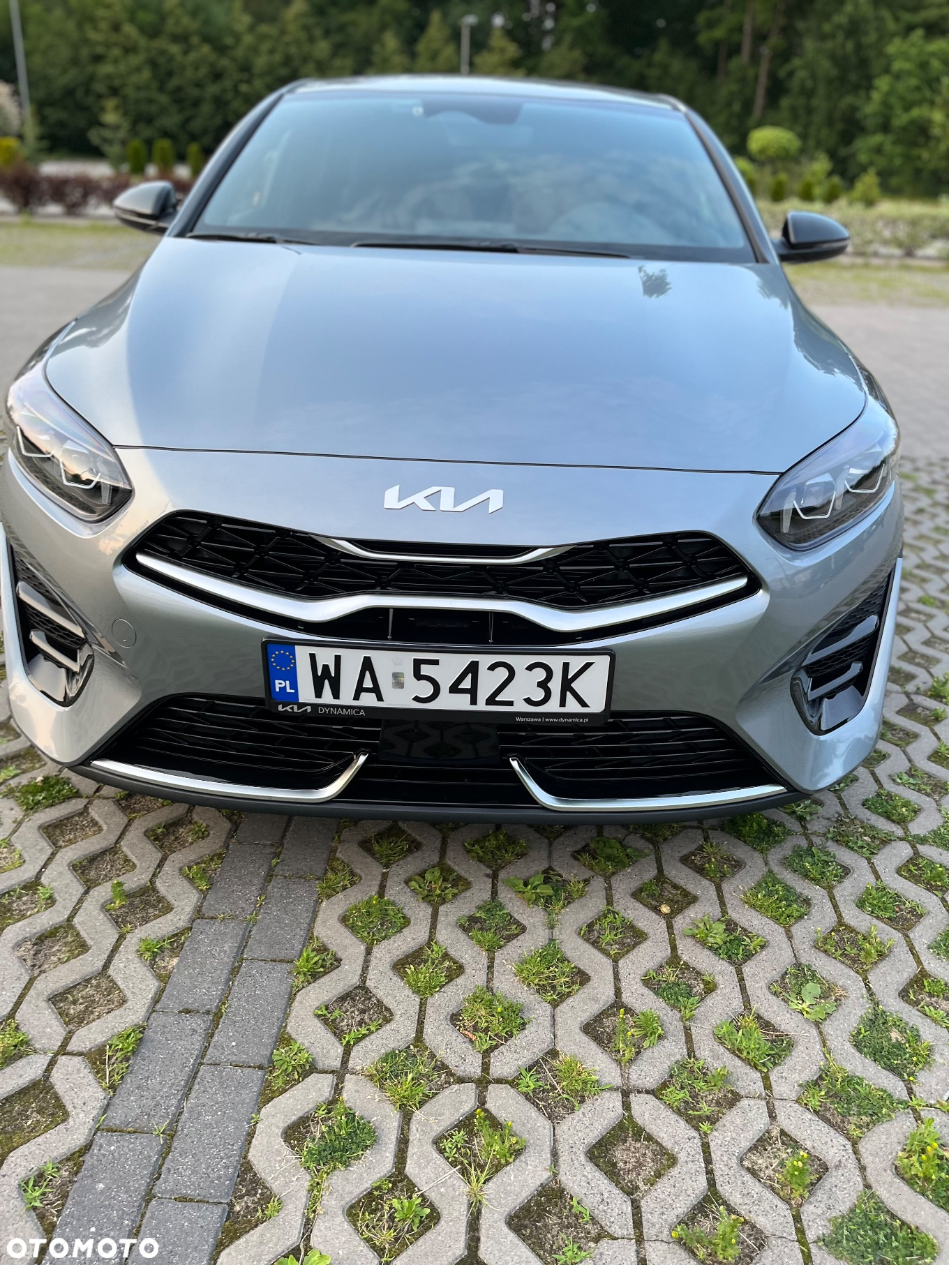 Kia ProCeed 1.5 T-GDI GT Line DCT - 13