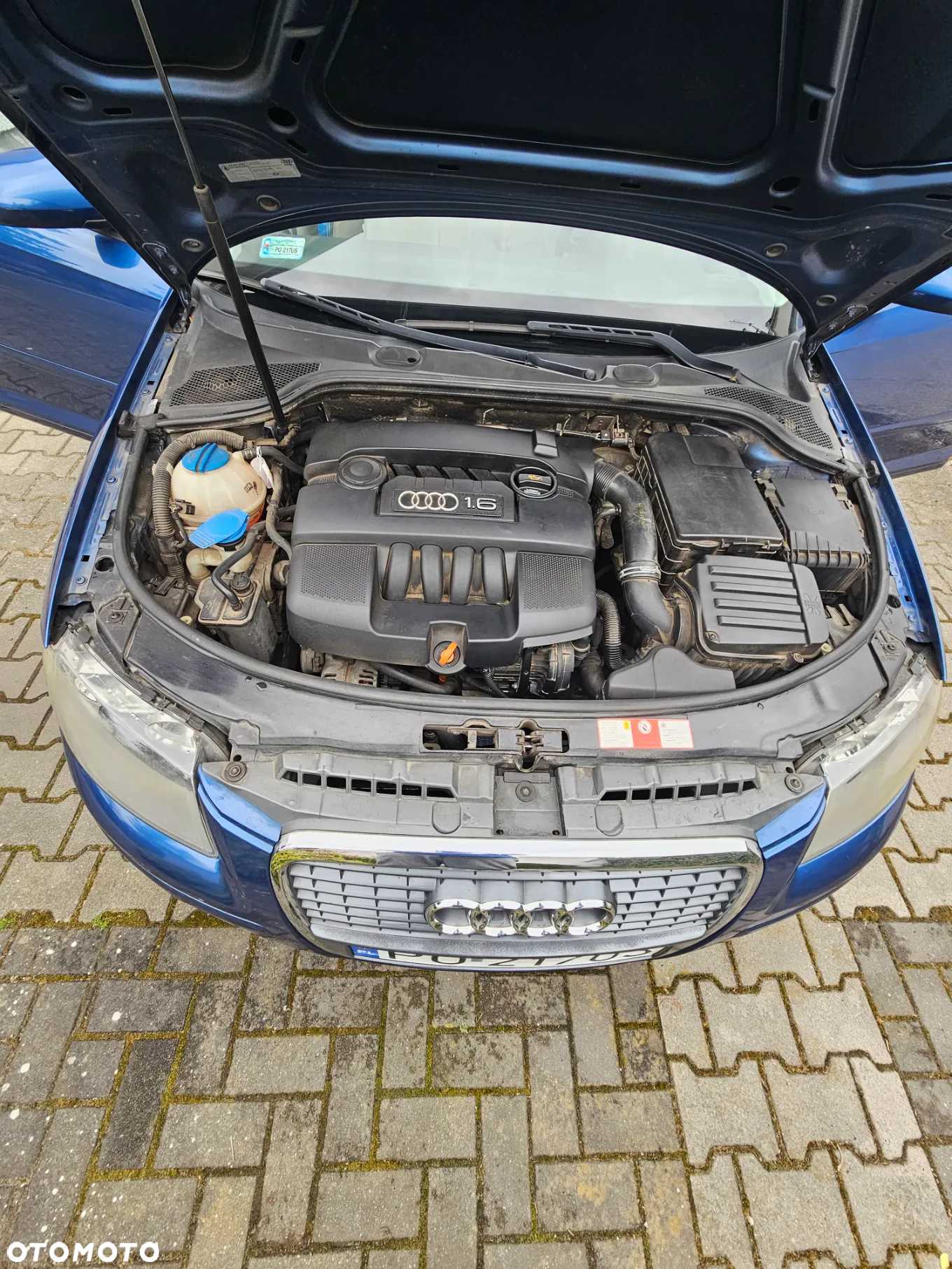 Audi A3 1.6 Sportback Ambiente - 5