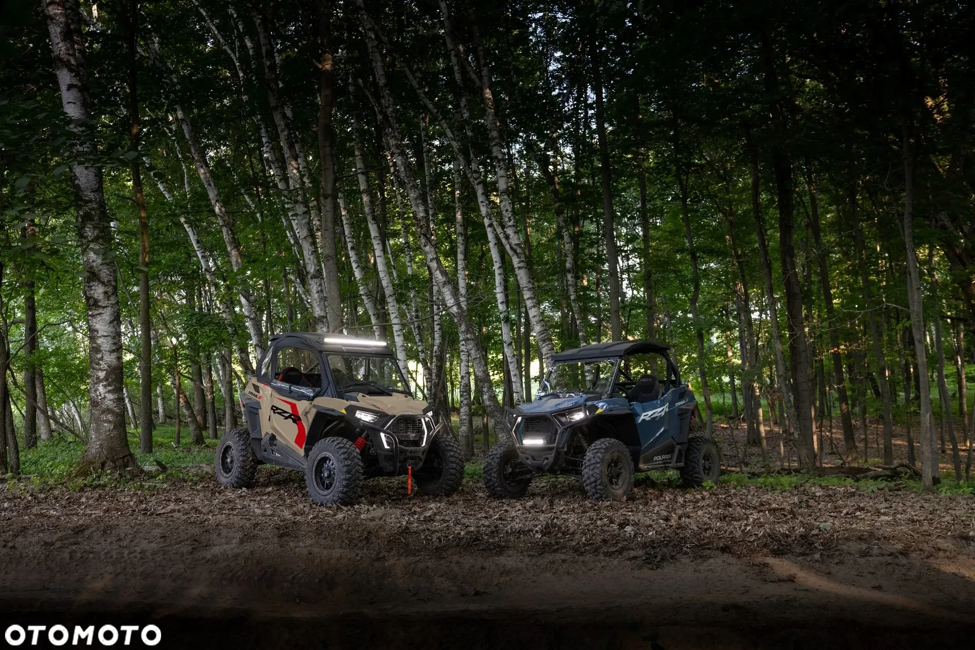 Polaris RZR - 26