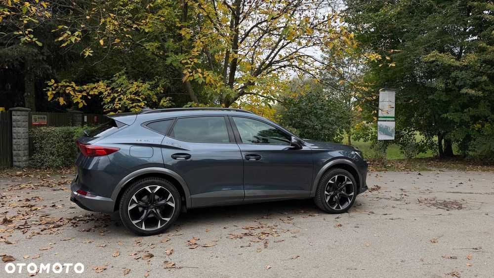 Cupra Formentor 2.0 TSI 4Drive DSG - 18