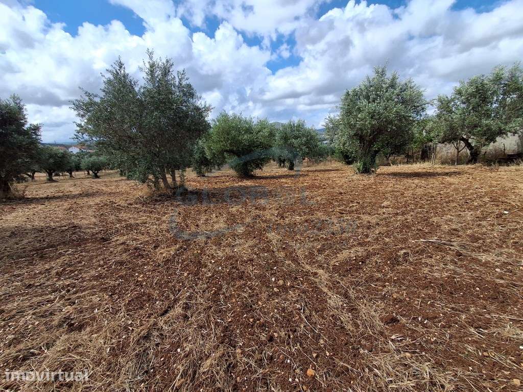 Terreno Exclusivo com Vista Serra | 4.040 m² | 1.850 m² Urbanos | C... - Grande imagem: 2/14