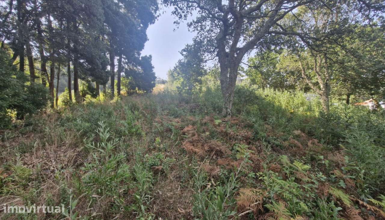 Terreno de construção para venda, Moledo, Caminha - Grande imagem: 3/9