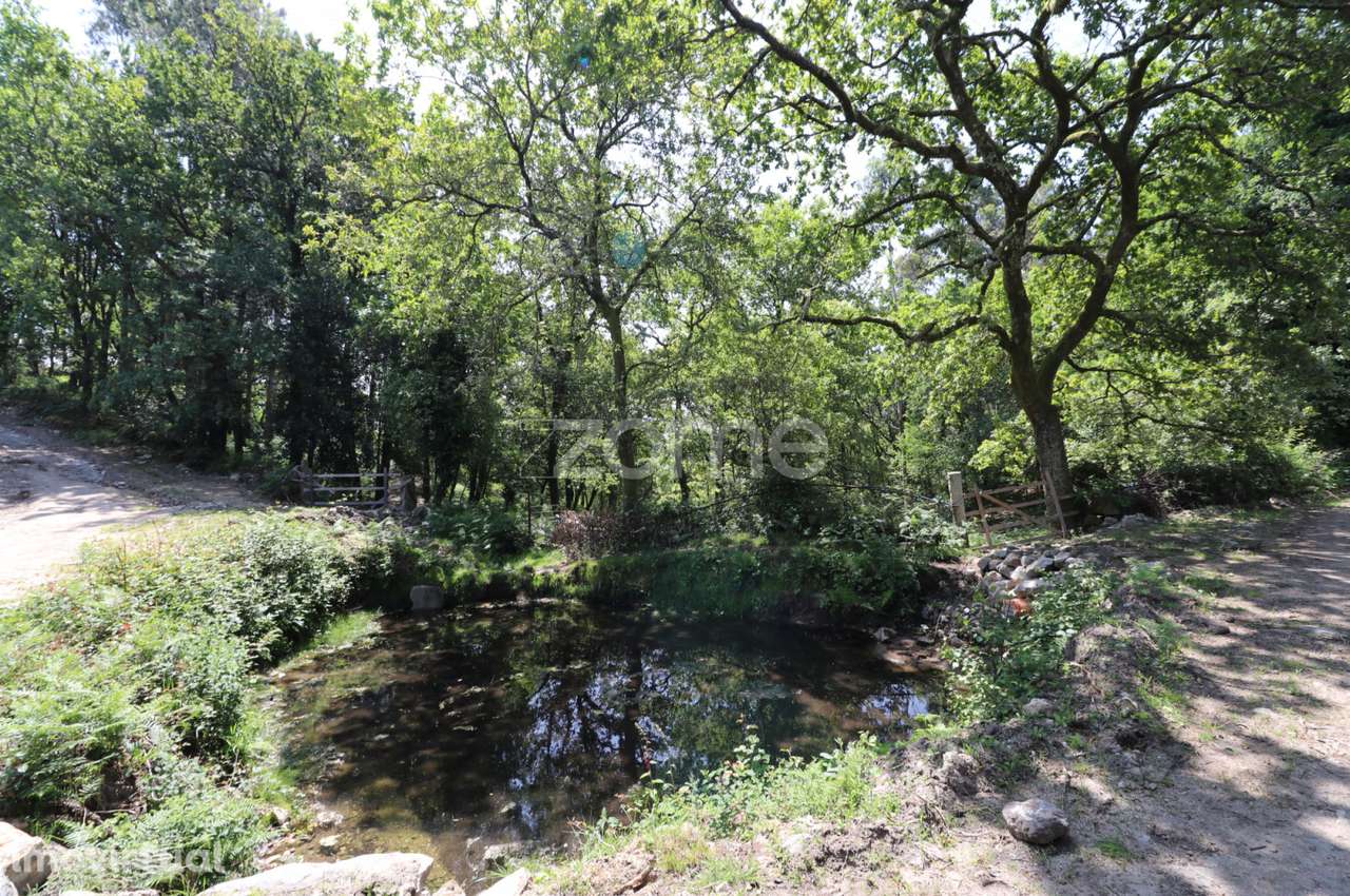 Terreno Rústico em Barbeitos (Álvora) - Grande imagem: 4/23