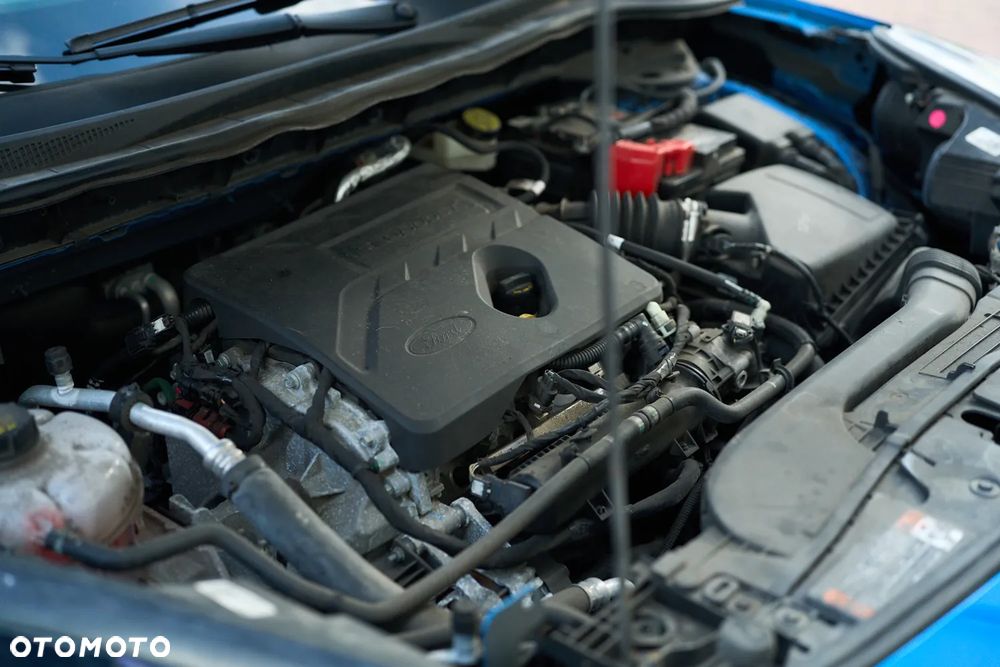 Ford Escape - 20