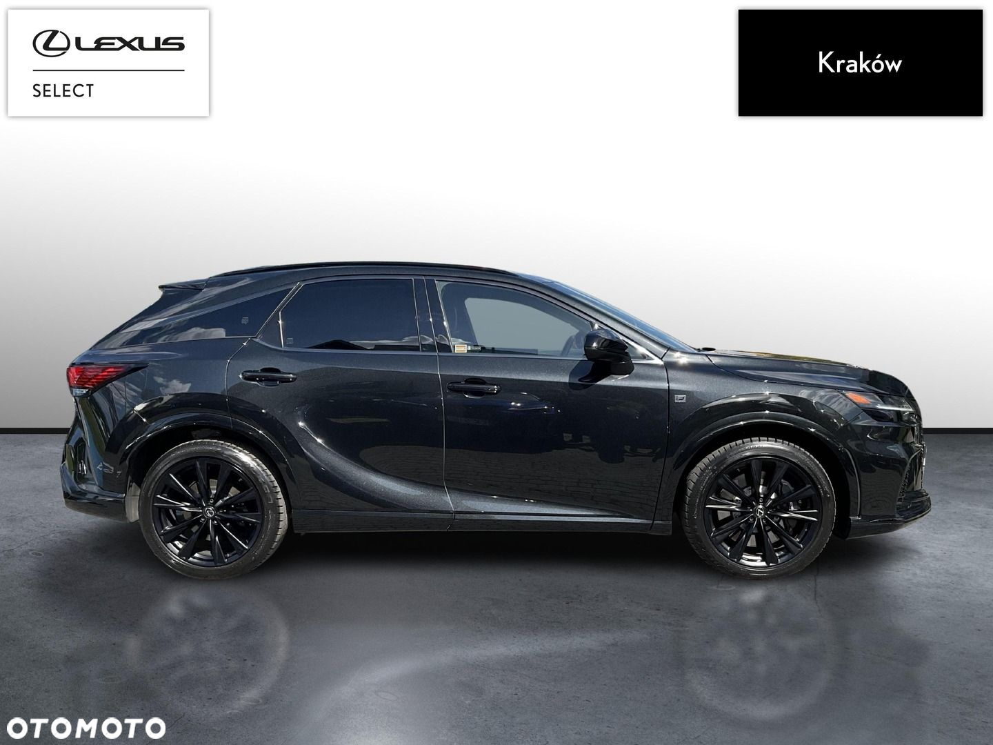 Lexus RX - 6
