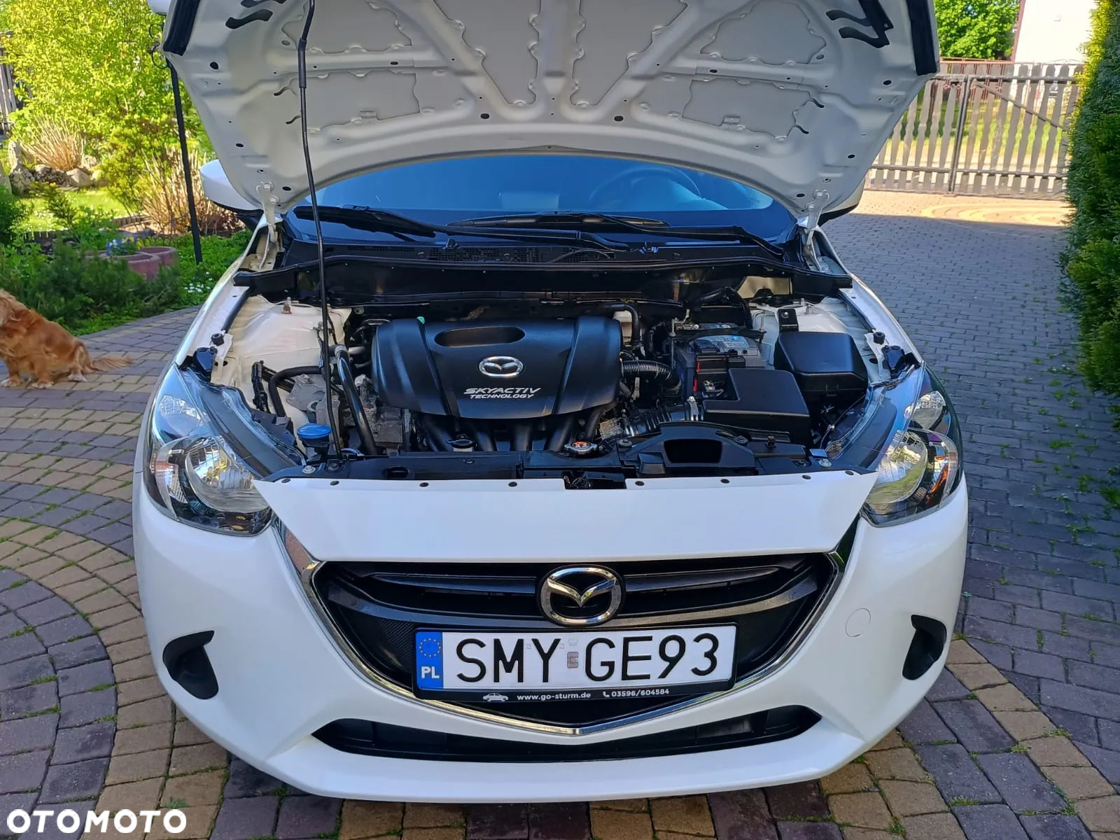 Mazda 2 SKYACTIV-G 75 Exclusive-Line - 7