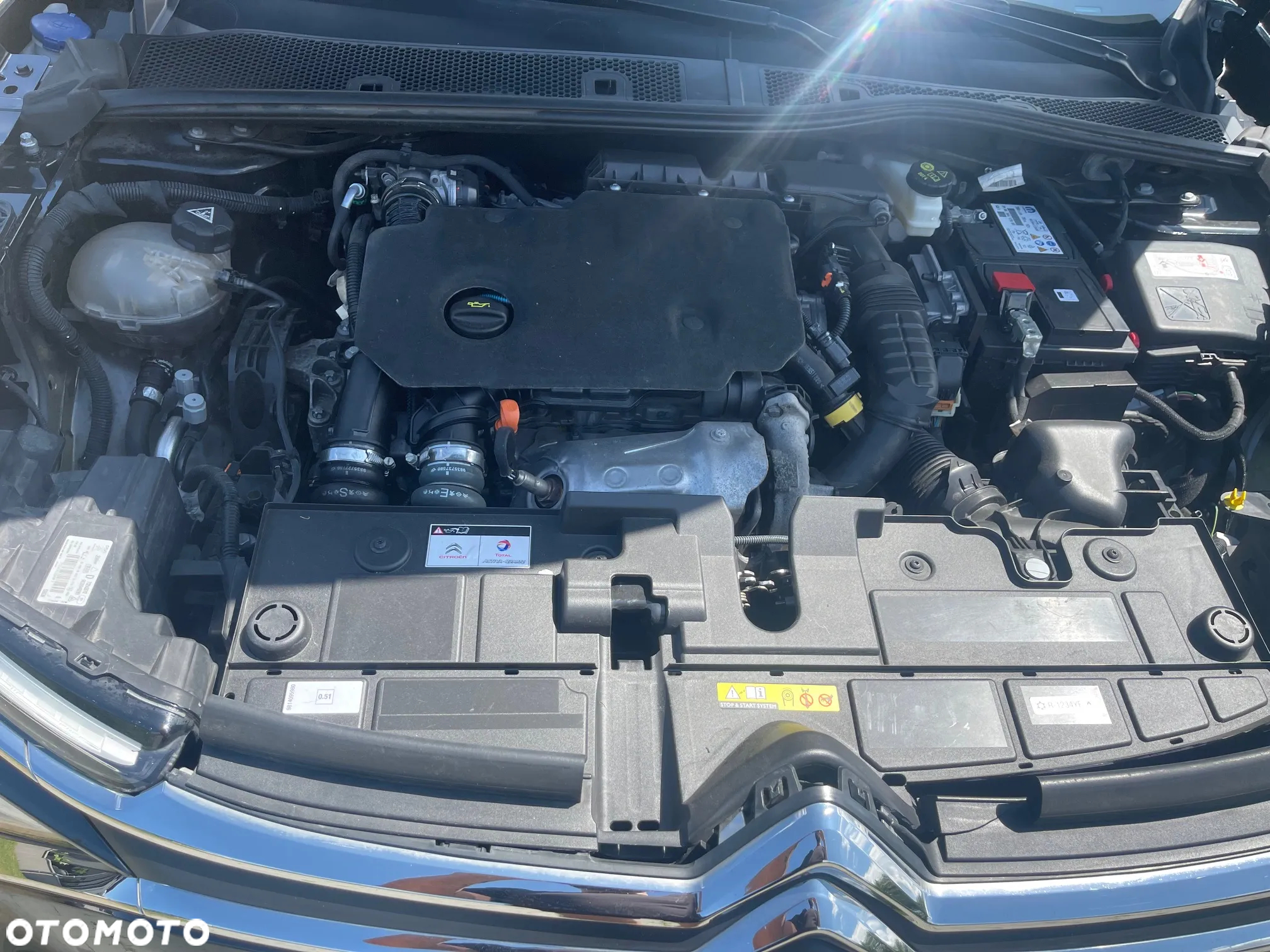 Citroën C4 BlueHDi 130 Stop&Start EAT8 SHINE - 29