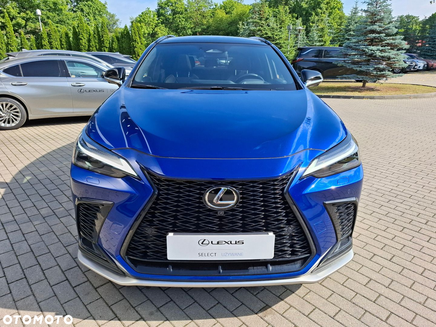 Lexus NX - 8