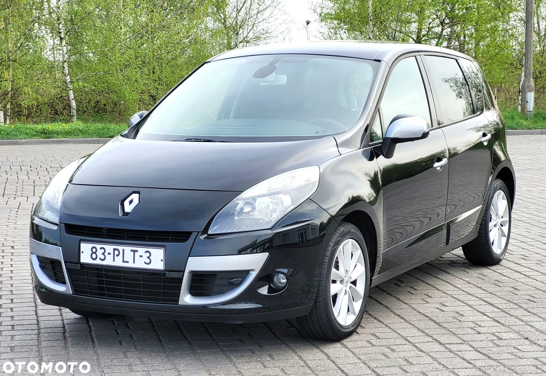 Renault Scenic - 10