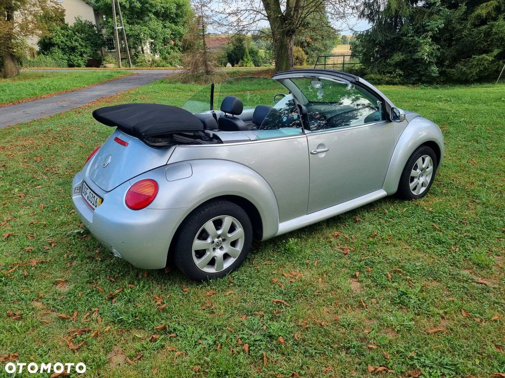 Volkswagen Beetle - 8